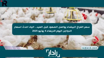 سعر الفراخ البيضاء يواصل الصعود قبل العيد.. إليك أحدث أسعار الدواجن اليوم الأربعاء 4 يونيو 2025